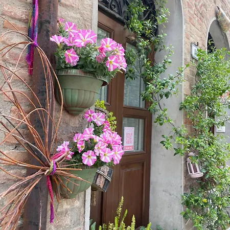 Affittacamere La Casa Dei Mimmi 3*